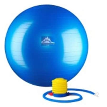 Black Mountain Products Black Mountain Products 55cm Blue Gym Ball 55 cm. Static Strength Exercise Stability Ball; Blue 55cm Blue Gym Ball